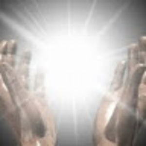 Meet your Posher, Deedee